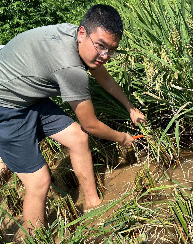 農耕實訓